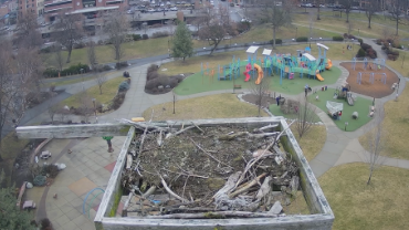 live-nests-Coeur-d'Alene-Osprey-Nest-cam
