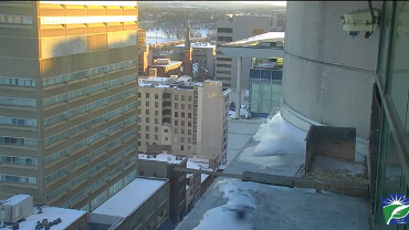 live-nests-PA-Peregrine-Falcon-Cam